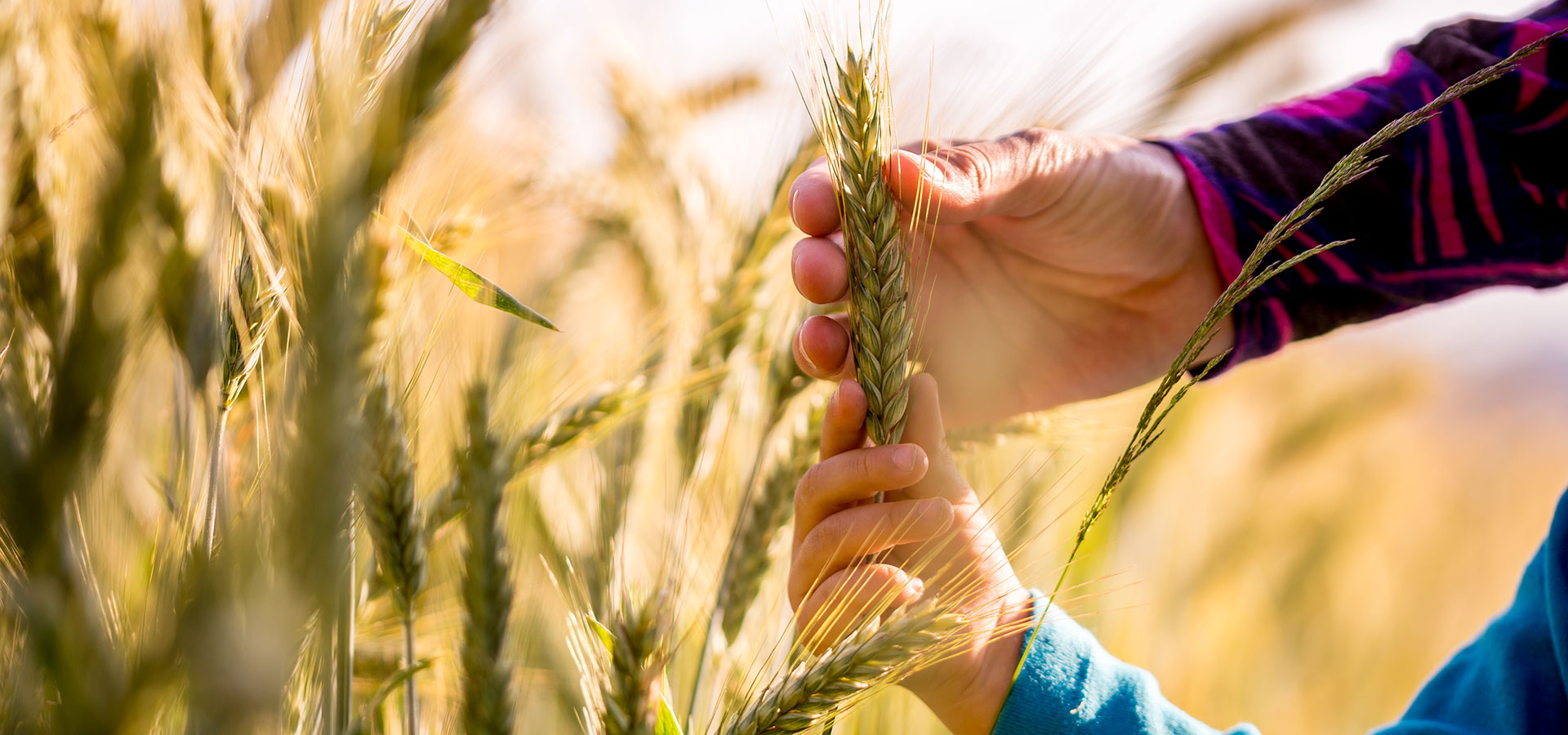 L’enseignement agricole demeure la cinquième roue du tracteur